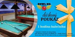 Jedna hodina kulečníku kdykoliv