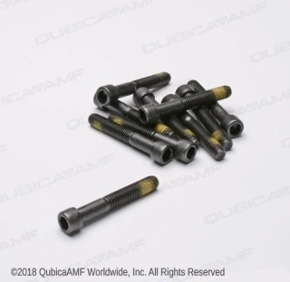 SCR-SHC LK 3/8-16X2.5 (BAG 10)