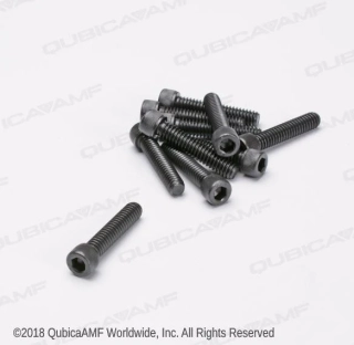 SCR-SOC 1/4-20X1 1/4 (BAG 10)