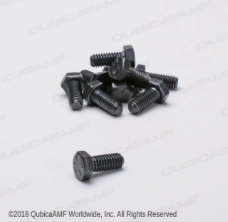 SCR-HX 5/16-18X2 BAG(10)