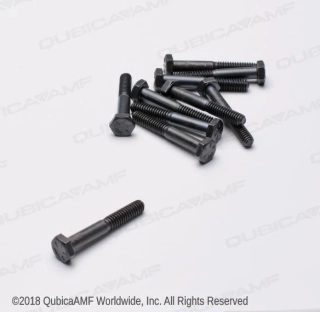 1/4-20 x 1 3/4 Scr Hx Bag/10  