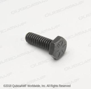 SCR-HX 1/4-20X1 1/4 (BAG 10)