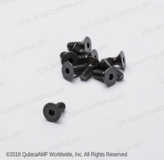 SCR-SOFL 1/4-20X5/8 BAG(10)