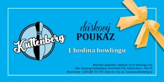 Jedna hodina billiard / kulečník kdykoliv